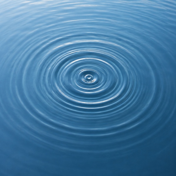 Circle of Competence — Mental Model · Warren Buffett & Charlie Munger